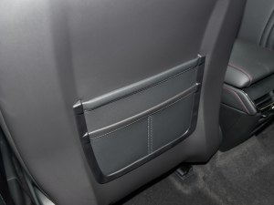 2022EcoBoost 245 A g