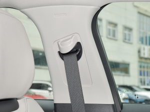 2022EcoBoost 245 A g