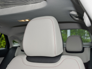 2022EcoBoost 245 A g