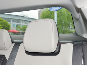 2022EcoBoost 245 A g