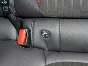 2022EcoBoost 245 A g