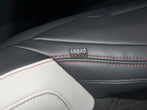 2022EcoBoost 245 A п؅^