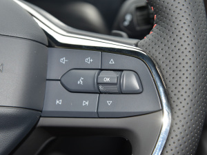 2022Ŀ EcoBoost 245 ST-Line п؅^(q)