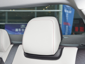 2022Ŀ EcoBoost 245 A  g