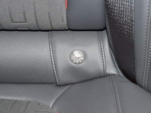 2022Ŀ EcoBoost 245 A  g