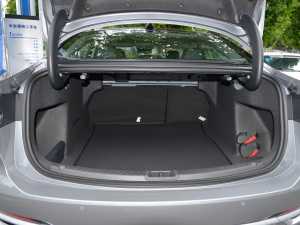 2022Ŀ EcoBoost 245 A  g