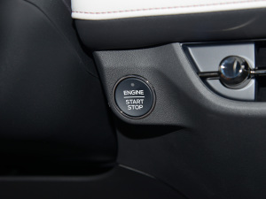 2022Ŀ EcoBoost 245 A  п؅^(q)