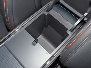 2022Ŀ EcoBoost 245   g