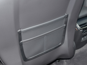 2022Ŀ EcoBoost 245   g