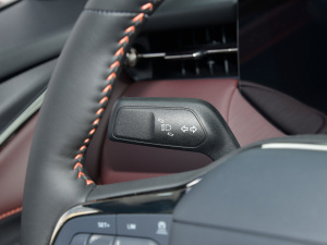 2022Ŀ EcoBoost 245   п؅^