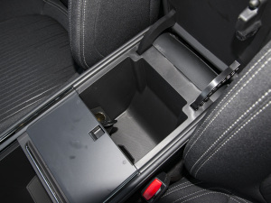 2022Ŀ EcoBoost 245 r  g