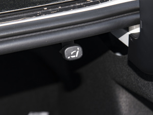 2022Ŀ EcoBoost 245 r  g