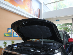 2022EcoBoost 285 ʮo 7 lәCœ