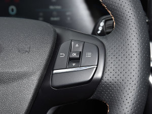 2022Ɏ EcoBoost 180 Ԅ(dng)(jng)ٰ п؅^(q)