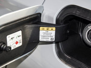 2023EcoBoost 180 A ^