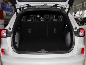 2023EcoBoost 245 (q)vST-Line Pro g