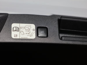 2023EcoBoost 245 vST-Line Pro g