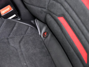 20232023 JL 2.0T EcoBoost E-ST-Line  g