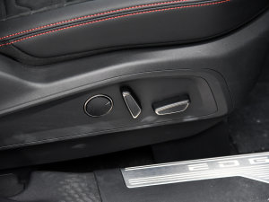 20232023 JL 2.0T EcoBoost E-ST-Line  g