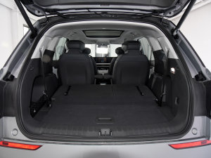 2023JL 2.0T EcoBoost  g