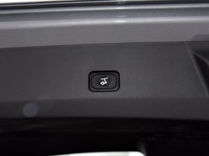 2023JL 2.0T EcoBoost  g