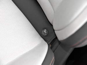 2023JL 2.0T EcoBoost  g