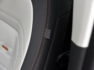 2023JL 2.0T EcoBoost  п؅^