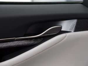 2023JL 2.0T EcoBoost  п؅^