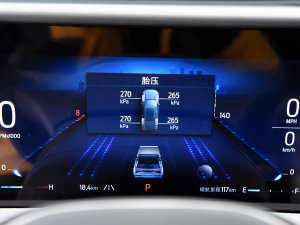 2023JL 2.0T EcoBoost  п؅^