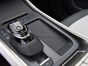 2023JL 2.0T EcoBoost  п؅^