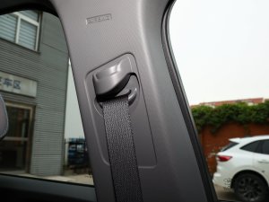 2023JL 2.0T EcoBoost E-(dng)(q)A g