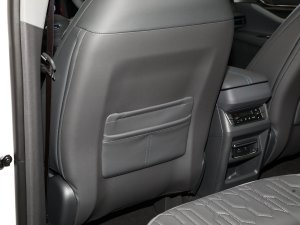 2023JL 2.0T EcoBoost E-(dng)(q)A g