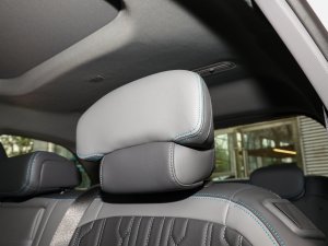 2023JL 2.0T EcoBoost E-(dng)(q)A g