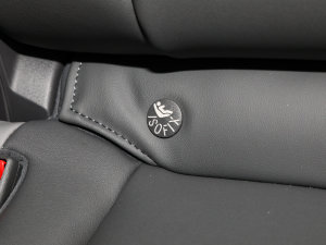 2023JL 2.0T EcoBoost E-(dng)(q)A g