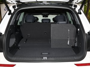 2023JL 2.0T EcoBoost E-(dng)(q)A g