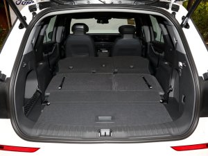 2023JL 2.0T EcoBoost E-(dng)(q)A g