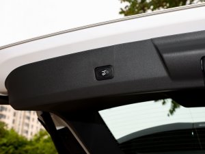 2023JL 2.0T EcoBoost E-(dng)(q)A g