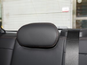 2023JL 2.0T EcoBoost E- g