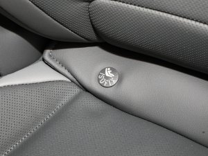 2023JL 2.0T EcoBoost E- g