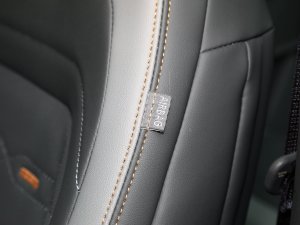 2023JL 2.0T EcoBoost E- п؅^