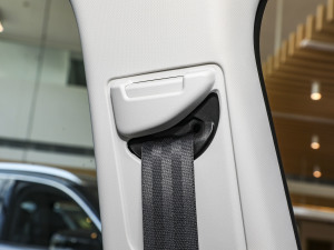 2024EcoBoost 245 Խ g