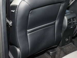 2024EcoBoost 245 Խ g