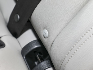 2024EcoBoost 245 Խ g