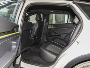 2024E(dng) 2.0T EcoBoost \(yn)(dng)ST-Line  g