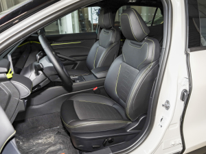 2024E(dng) 2.0T EcoBoost \(yn)(dng)ST-Line  g