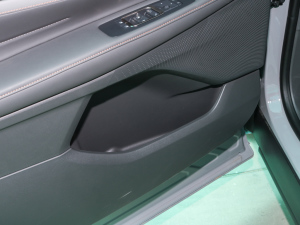 2025JL 2.0T EcoBoost E g