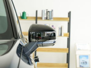 2025JL 2.0T EcoBoost E(q) (ji)^