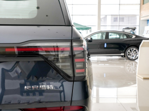 2025JL 2.0T EcoBoost E(q) (ji)^