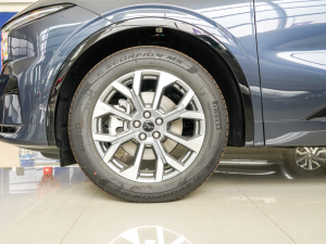 2025JL 2.0T EcoBoost E(q) (ji)^