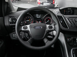 20151.5GTDi (q)L(fng)а P